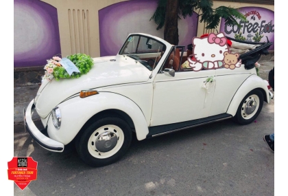 Bảng giá cho thuê xe cỗ 